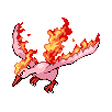 moltres