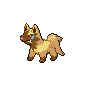 poochyena