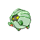 shelgon