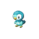 piplup