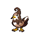 staravia