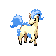 ponyta