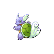 wartortle