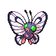 butterfree
