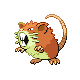 raticate