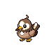 starly