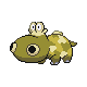 hippopotas
