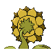 sunflora