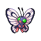 butterfree