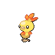 torchic