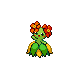 bellossom