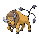 tauros