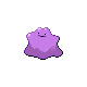 ditto