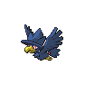 murkrow