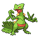 sceptile