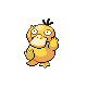 psyduck