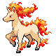 rapidash