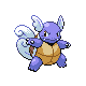 wartortle