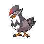 staraptor
