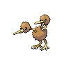 doduo