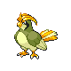 pidgeotto