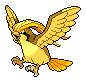 pidgeot