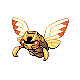 ninjask