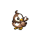 starly