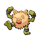 primeape