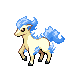 ponyta