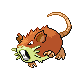 raticate
