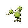 doduo