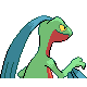 grovyle