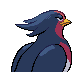 swellow