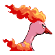 moltres