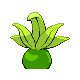 oddish