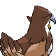 staraptor