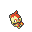 chimchar