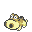 hippopotas