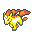 rapidash