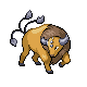 tauros