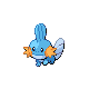 mudkip