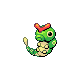 caterpie