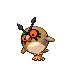 hoothoot