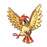 pidgeotto