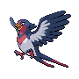 swellow