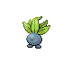 oddish