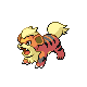growlithe
