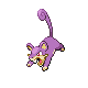 rattata