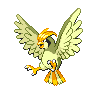 pidgeotto